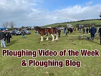 Ploughing Video of the Week & Ploughing Blog