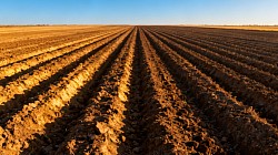Future Ploughing Matches Events